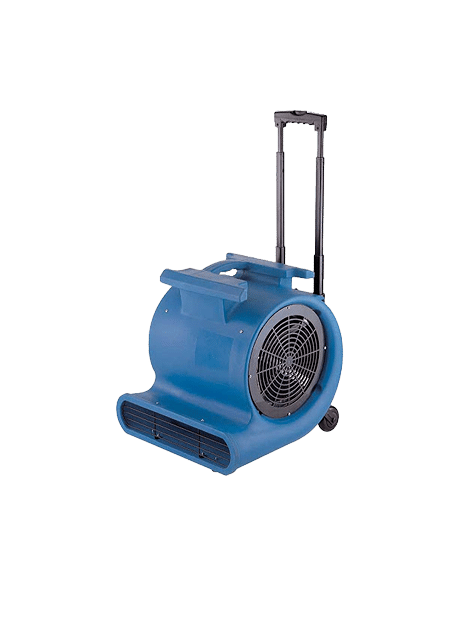 Snail Blower